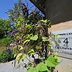 Semesterbostad La Chevalerie *