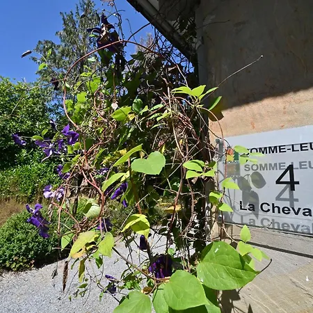 בית נופש La Chevalerie *